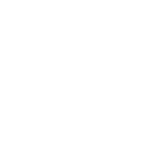 Herz Icon